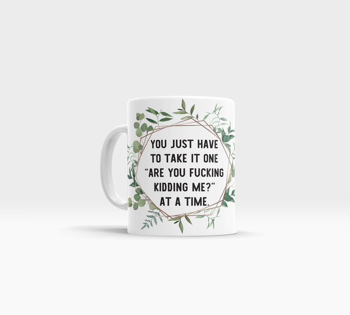 Funny snarky coffee mug just have to take it one are you f#cking kidding me at a time